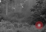 Image of oil drilling in Venezuela Caracas Venezuela, 1940, second 49 stock footage video 65675050649