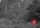 Image of oil drilling in Venezuela Caracas Venezuela, 1940, second 50 stock footage video 65675050649