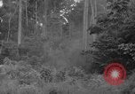 Image of oil drilling in Venezuela Caracas Venezuela, 1940, second 51 stock footage video 65675050649