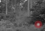 Image of oil drilling in Venezuela Caracas Venezuela, 1940, second 52 stock footage video 65675050649
