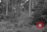 Image of oil drilling in Venezuela Caracas Venezuela, 1940, second 53 stock footage video 65675050649