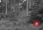 Image of oil drilling in Venezuela Caracas Venezuela, 1940, second 54 stock footage video 65675050649
