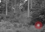 Image of oil drilling in Venezuela Caracas Venezuela, 1940, second 56 stock footage video 65675050649