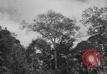 Image of men Caracas Venezuela, 1940, second 3 stock footage video 65675050650