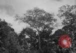 Image of men Caracas Venezuela, 1940, second 5 stock footage video 65675050650