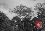 Image of men Caracas Venezuela, 1940, second 6 stock footage video 65675050650