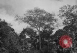 Image of men Caracas Venezuela, 1940, second 8 stock footage video 65675050650
