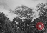 Image of men Caracas Venezuela, 1940, second 9 stock footage video 65675050650