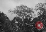 Image of men Caracas Venezuela, 1940, second 10 stock footage video 65675050650
