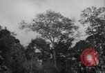 Image of men Caracas Venezuela, 1940, second 11 stock footage video 65675050650