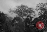 Image of men Caracas Venezuela, 1940, second 12 stock footage video 65675050650