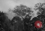 Image of men Caracas Venezuela, 1940, second 13 stock footage video 65675050650