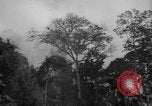 Image of men Caracas Venezuela, 1940, second 14 stock footage video 65675050650