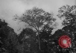 Image of men Caracas Venezuela, 1940, second 15 stock footage video 65675050650