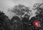 Image of men Caracas Venezuela, 1940, second 16 stock footage video 65675050650