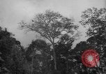 Image of men Caracas Venezuela, 1940, second 17 stock footage video 65675050650