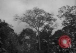 Image of men Caracas Venezuela, 1940, second 19 stock footage video 65675050650