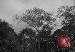 Image of men Caracas Venezuela, 1940, second 20 stock footage video 65675050650