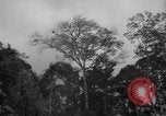 Image of men Caracas Venezuela, 1940, second 21 stock footage video 65675050650