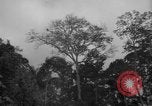 Image of men Caracas Venezuela, 1940, second 23 stock footage video 65675050650
