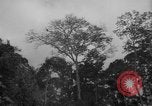 Image of men Caracas Venezuela, 1940, second 24 stock footage video 65675050650