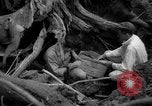 Image of men Caracas Venezuela, 1940, second 28 stock footage video 65675050650