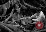 Image of men Caracas Venezuela, 1940, second 31 stock footage video 65675050650