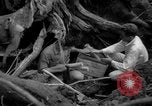 Image of men Caracas Venezuela, 1940, second 32 stock footage video 65675050650