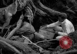 Image of men Caracas Venezuela, 1940, second 36 stock footage video 65675050650