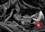 Image of men Caracas Venezuela, 1940, second 38 stock footage video 65675050650
