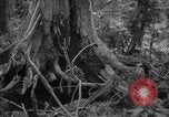 Image of men Caracas Venezuela, 1940, second 62 stock footage video 65675050650