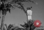 Image of ruins Libya, 1950, second 48 stock footage video 65675050653
