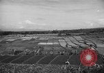Standbild Asian-African Conference Bandung Indonesien, 1955, aus Sekunde 22 historischem Filmmaterial Videoclip 65675050656