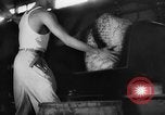 Standbild Asian-African Conference Bandung Indonesien, 1955, aus Sekunde 33 historischem Filmmaterial Videoclip 65675050658