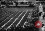 Standbild Henry Wallace Chungking China, 1944, aus Sekunde 48 historischem Filmmaterial Videoclip 65675050660