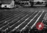 Standbild Henry Wallace Chungking China, 1944, aus Sekunde 50 historischem Filmmaterial Videoclip 65675050660