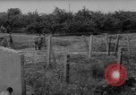 Image of Berlin Wall Berlin Germany, 1963, second 12 stock footage video 65675050670