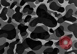 Standbild Camouflage im Kampf United States USA, 1945, aus Sekunde 24 historischem Filmmaterial Videoclip 65675050679