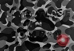Standbild Camouflage im Kampf United States USA, 1945, aus Sekunde 25 historischem Filmmaterial Videoclip 65675050679