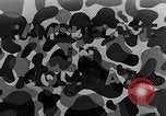 Standbild Camouflage im Kampf United States USA, 1945, aus Sekunde 27 historischem Filmmaterial Videoclip 65675050679