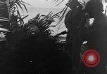 Standbild tarnen Techniken Italien, 1945, aus Sekunde 19 historischem Filmmaterial Videoclip 65675050680