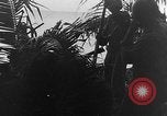 Standbild tarnen Techniken Italien, 1945, aus Sekunde 20 historischem Filmmaterial Videoclip 65675050680
