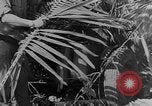 Standbild tarnen Techniken Italien, 1945, aus Sekunde 21 historischem Filmmaterial Videoclip 65675050680