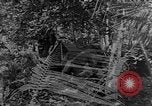 Standbild tarnen Techniken Italien, 1945, aus Sekunde 25 historischem Filmmaterial Videoclip 65675050680