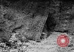Standbild tarnen Techniken United States USA, 1945, aus Sekunde 3 historischem Filmmaterial Videoclip 65675050681