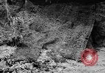 Standbild tarnen Techniken United States USA, 1945, aus Sekunde 4 historischem Filmmaterial Videoclip 65675050681