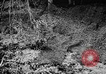 Standbild tarnen Techniken United States USA, 1945, aus Sekunde 5 historischem Filmmaterial Videoclip 65675050681