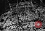Standbild tarnen Techniken United States USA, 1945, aus Sekunde 7 historischem Filmmaterial Videoclip 65675050681