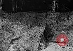 Standbild tarnen Techniken United States USA, 1945, aus Sekunde 10 historischem Filmmaterial Videoclip 65675050681