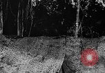 Standbild tarnen Techniken United States USA, 1945, aus Sekunde 11 historischem Filmmaterial Videoclip 65675050681